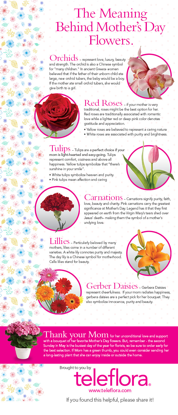 Infographic The Meaning of Mother's Day Flowers Teleflora Blog