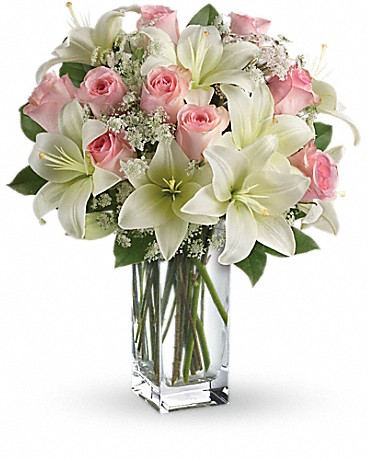 Colorful Winter Flowers To Decorate Your Home
