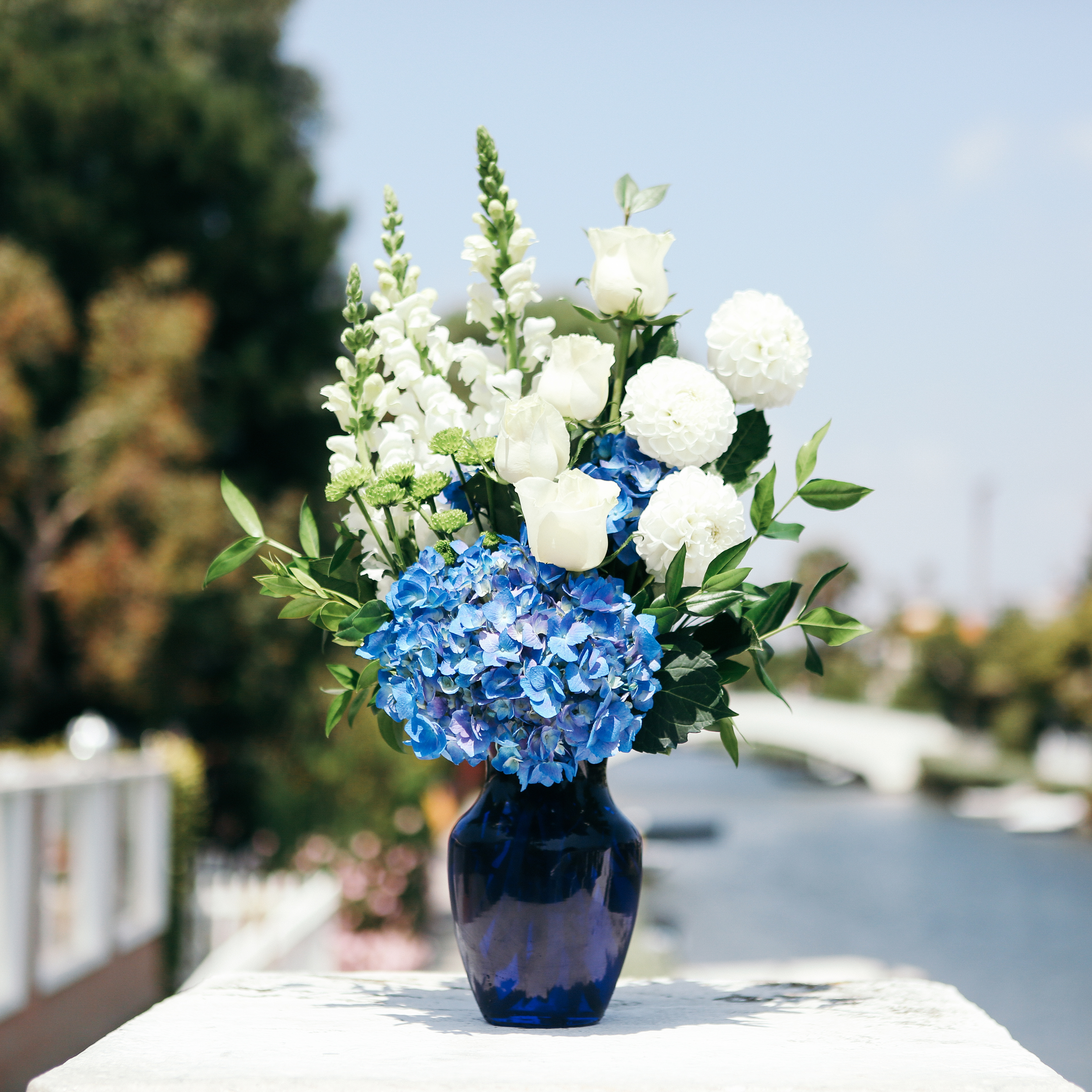blue hydrangea and white flowers