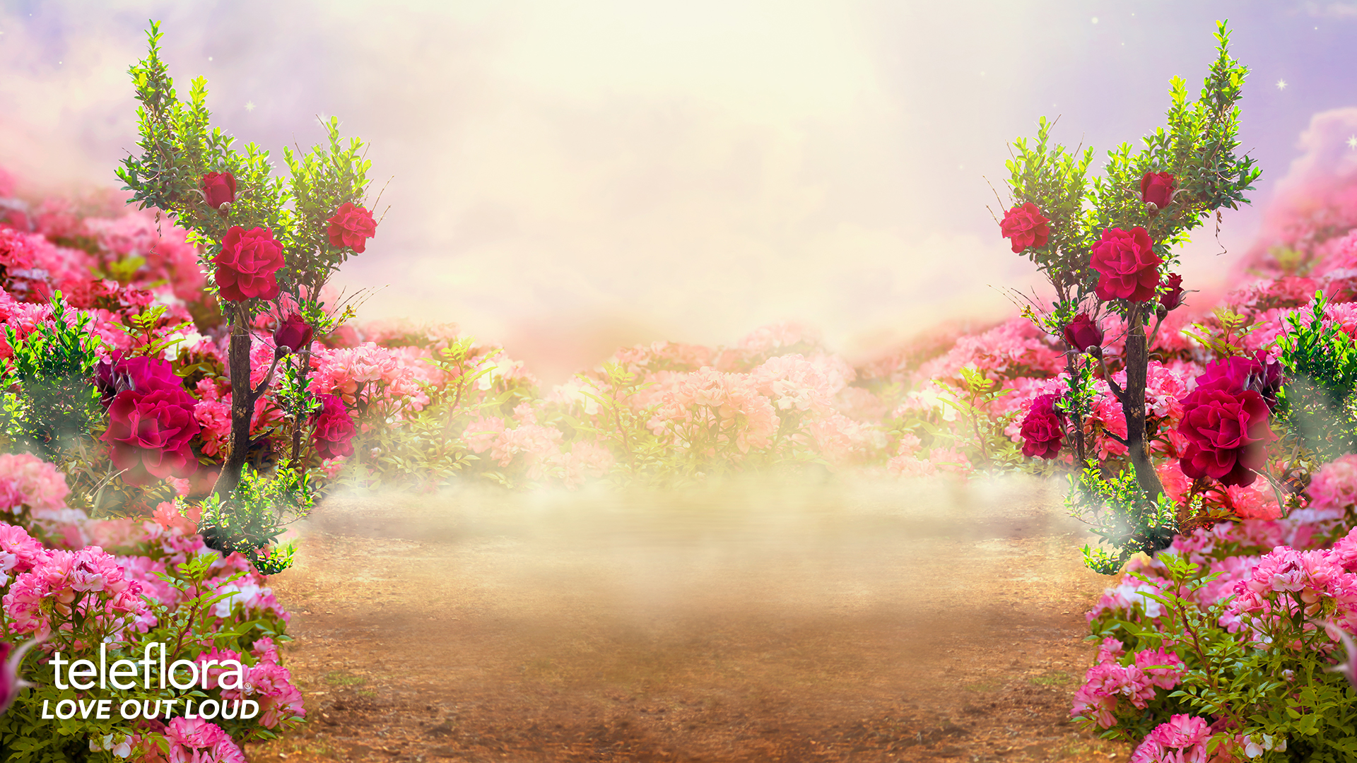 beautiful virtual background images