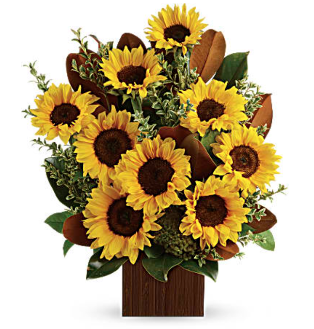 Best Flowers for Leos in Your Life | Teleflora Blog